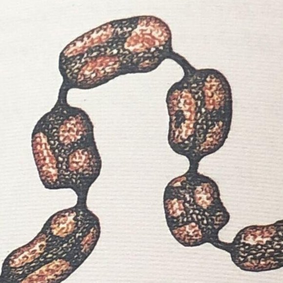 Luigi Serafini Codex Seraphinianus 13" x 9" No. 86 - Picture 5 of 8